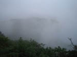 Sea of Fog!!