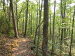 2006_033.jpg