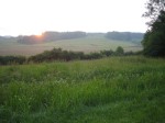 2006_034.jpg