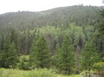 CF_2006_010.jpg