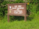 2006_006.jpg