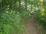2006_009.jpg