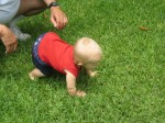 Must ..not ... touch ... grass...