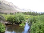 IMG_2774.JPG