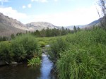 IMG_2775.JPG