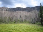 IMG_2786.JPG