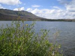 IMG_2787.JPG