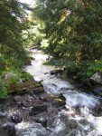IMG_2790.JPG